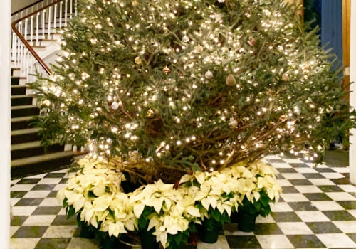 Celebrations in Southeast SC: A Tradition of Gift Exchange